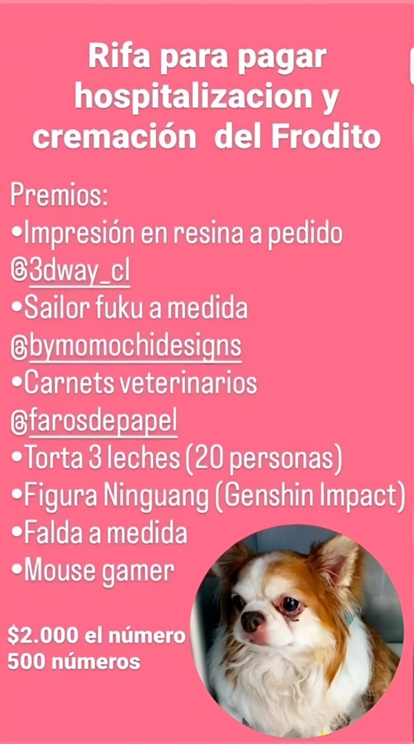 RIFA | Costear gastos hospitalarios y cremación Frodito🩷