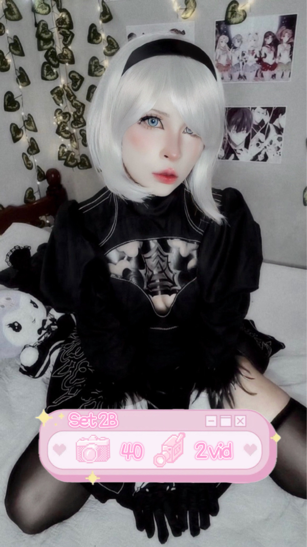 ♡ Set 2b ♡